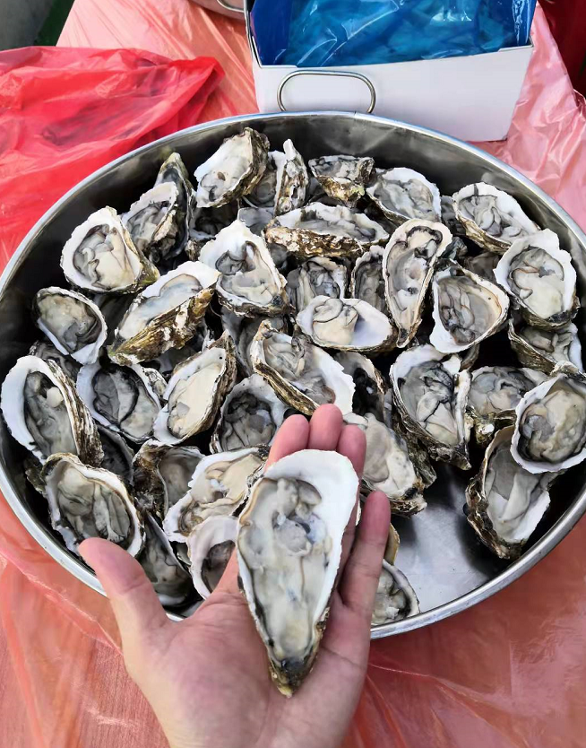 这样的中秋团建，，，，，，，你不喜欢很难！(图24)